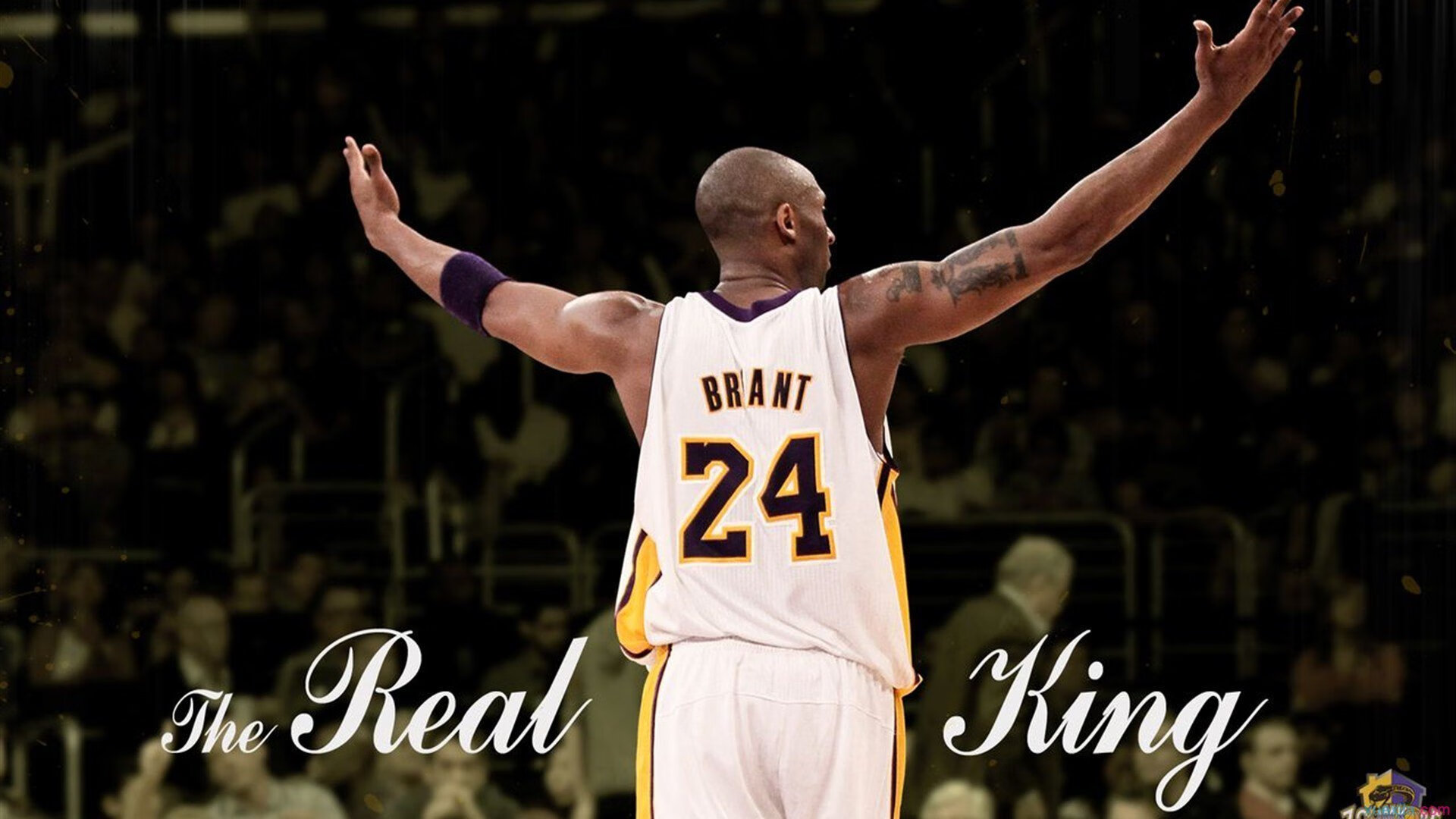 全国青少年“篮球明星孵化计划”正式启动，全面提升青训水平，ybdl青少年篮球发展联盟创始人